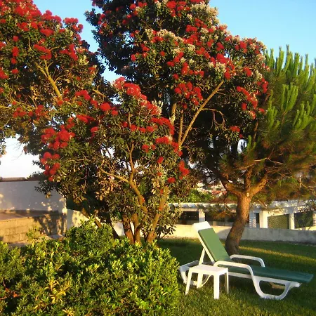 Patio Mateus Semesterbostad *