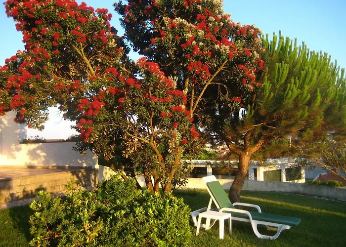 Patio Mateus Сasa de vacaciones *